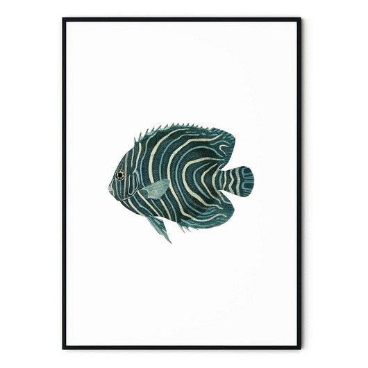 Plakat vintage Ryba myscandi