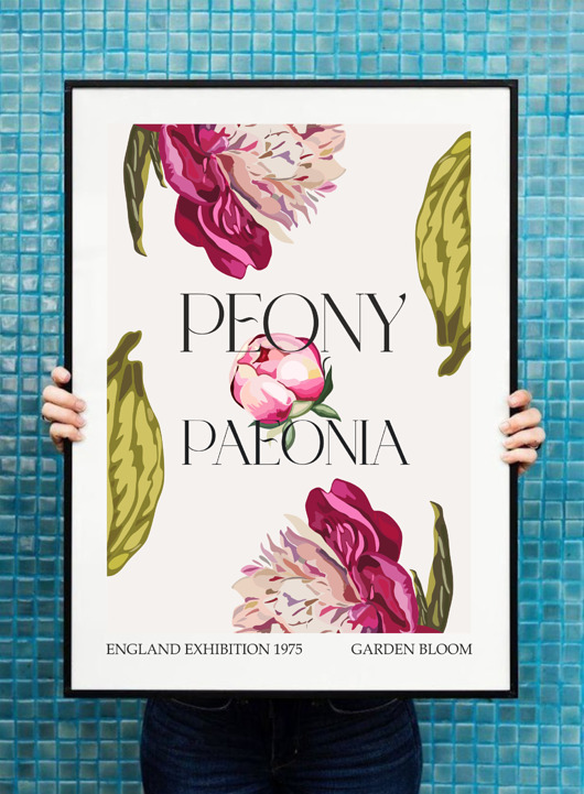 plakaty Plakat  Peonie