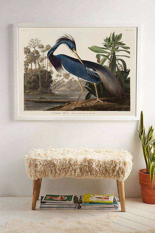 plakaty Ptak vintage  50x70 cm