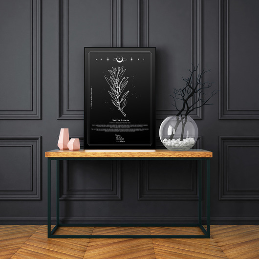 Poster Biała Szałwia Plants of Magic
