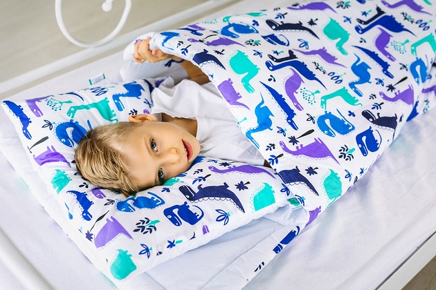 śpiworek JUNIOR ocieplany 70x140 dinozaury WoodLook