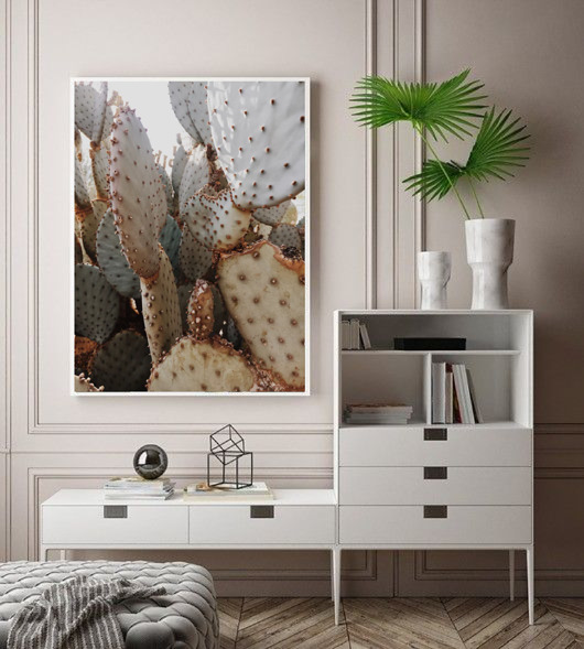 PLAKAT kaktus z rośliną botaniczny foto black dot studio
