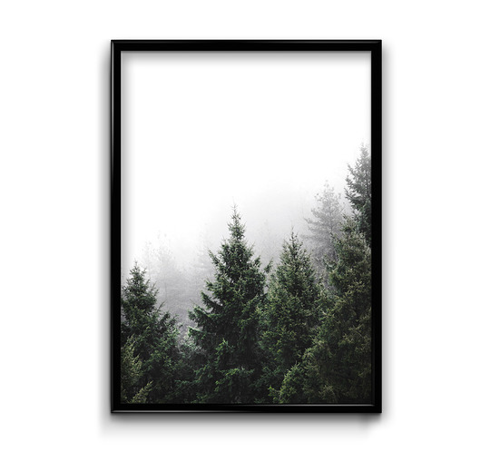 Plakat Deep forest #2  Bury Lis