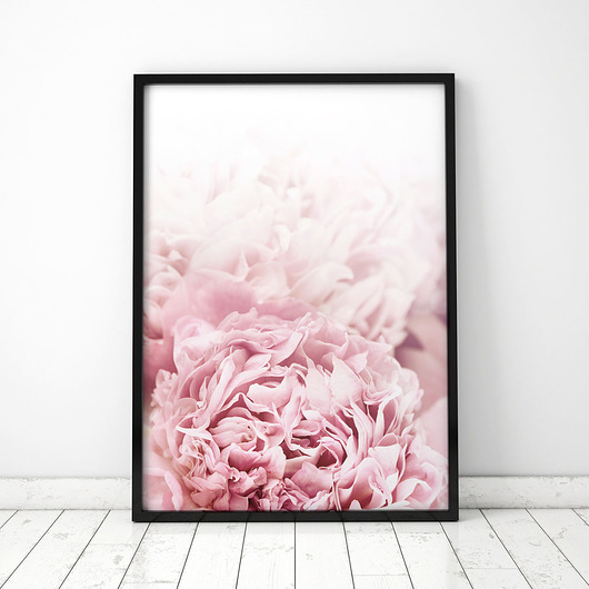 Plakat Piwonie 3 COLORMINT