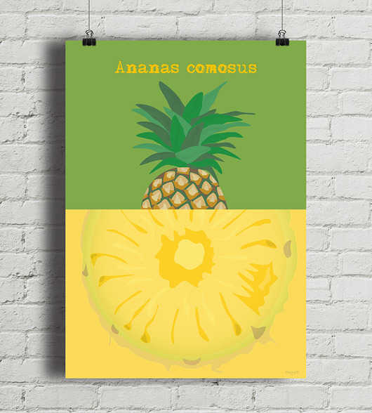 plakaty Ananas - plakat fine art 50x70 cm