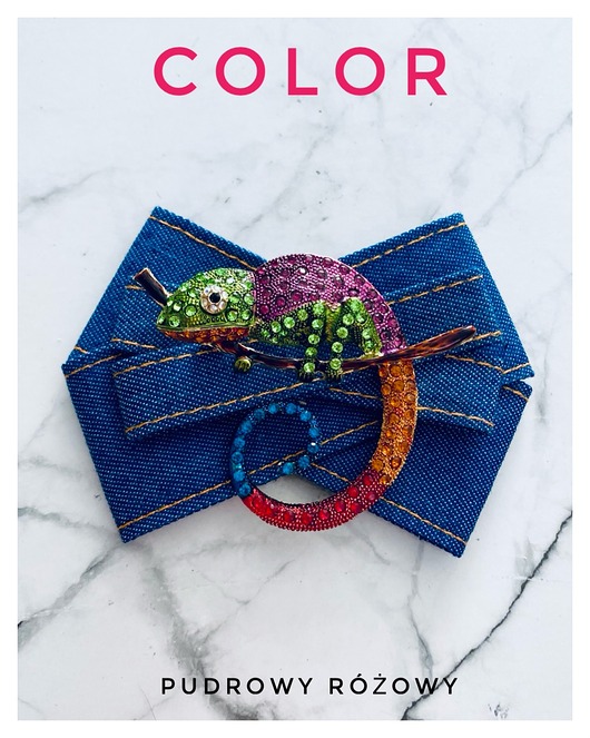 broszki Brosza  z Ogromnym  Kameleonem Kolekcja COLOR