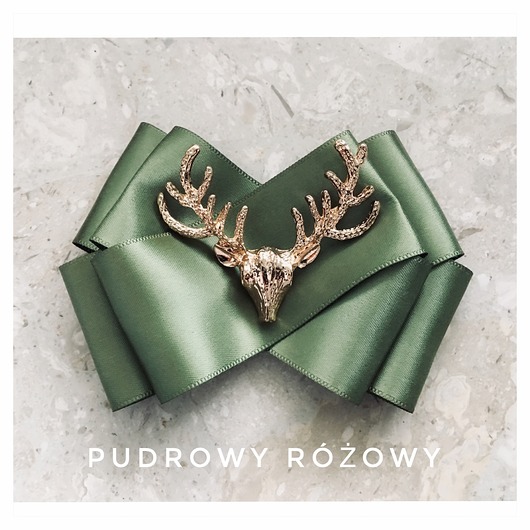 broszki Brosza  Zielona z Reniferem New