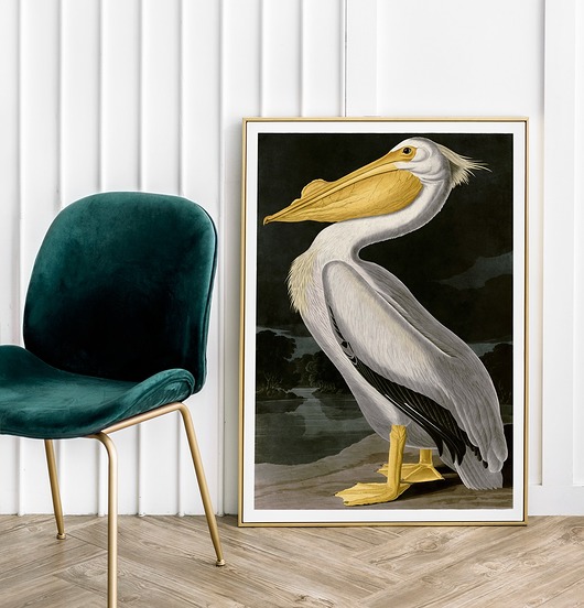 plakaty Plakat Pelikan