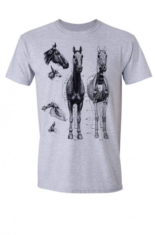 HORSE - Koszulka Męska SZARA T-shirt GAU great as You