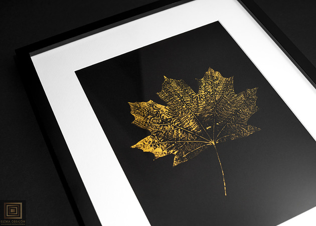 obrazy Monotypia Botaniczna. Złoty Liść Klonu. Obraz w Ramie A3