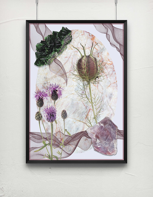 grafiki i ilustracje Plakat Carduus