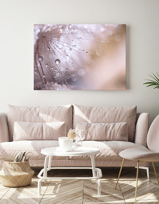 obrazy 100x70 cm Dmuchawiec w beżach na płótnie (1-0411)