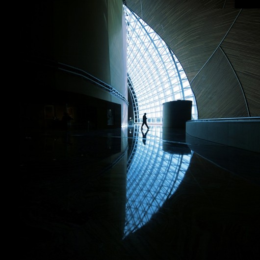 fotografia The Walk