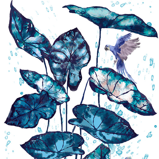 naklejki ścienne do pokoju dziecka Tapeta dla dzieci Niebieskie Papugi ( Blue Parrot)