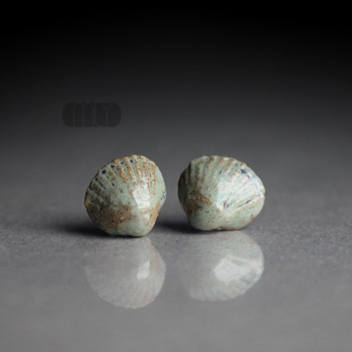 Shell Magda Łysiak