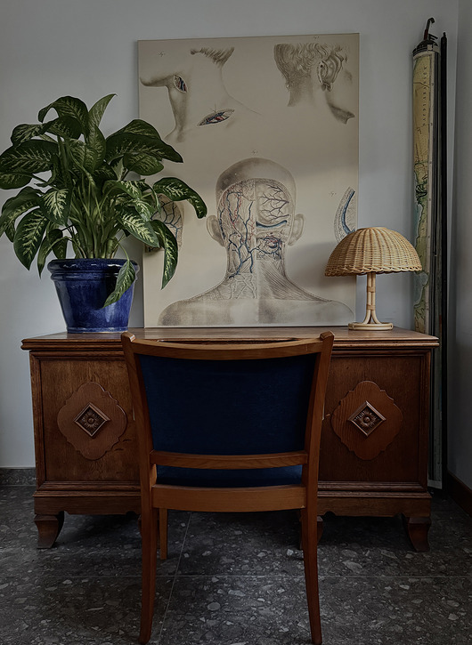 obrazy Human Anatomy - obraz na płótnie lub plakat