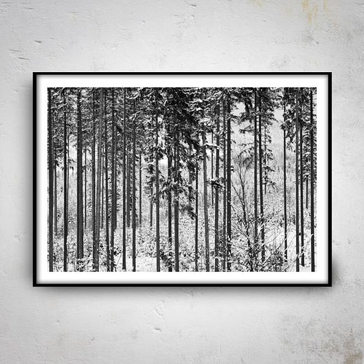 FOREST V plakat 50x70cm muamua design