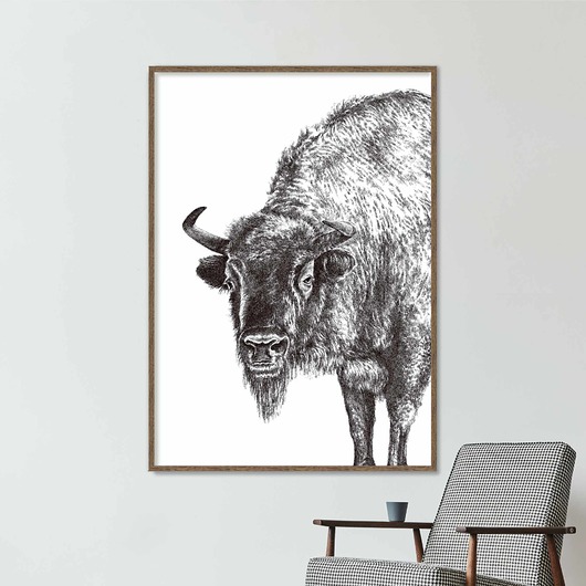 grafiki i ilustracje Żubr 70x100