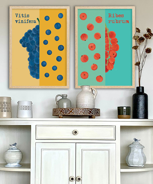 plakaty Plakaty Winogrona i porzeczki - zestaw fine art