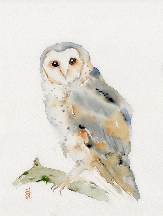obrazy Oryginalna akwarela. Sowa Płomykówka