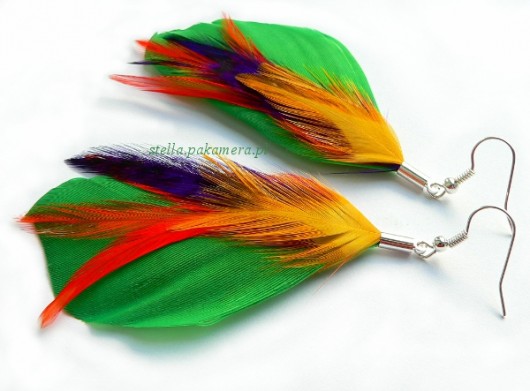 fusion feather Stella