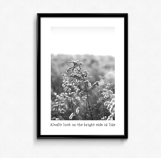 Plakat 30 x 40 Bury Lis