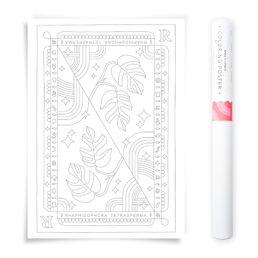 plakaty Plakat do Kolorowania Roślina Doniczkowa Minima 50x70cm