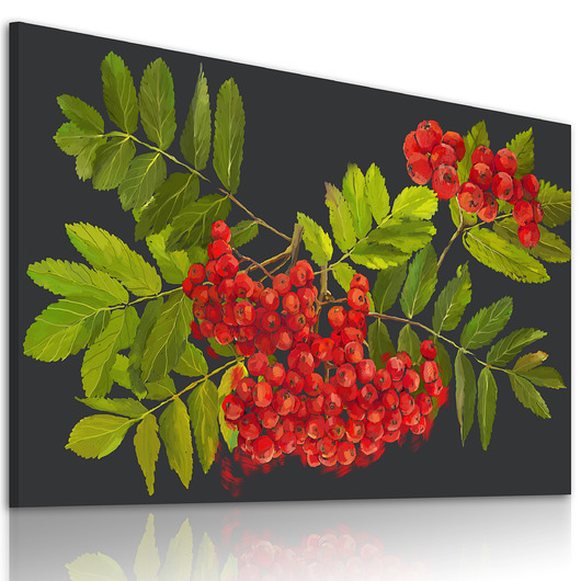 obrazy OBRAZ NA PŁÓTNIE -Jarzębina 120x80cm