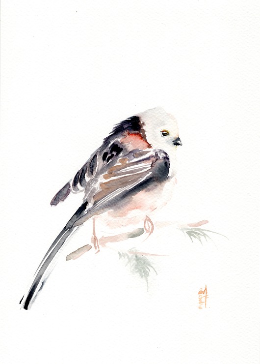 obrazy Oryginalna akwarela. Raniuszek