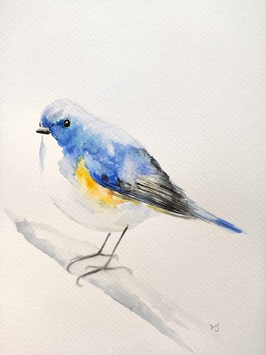 Akwarela Modraczek Wiktoria Borys Art