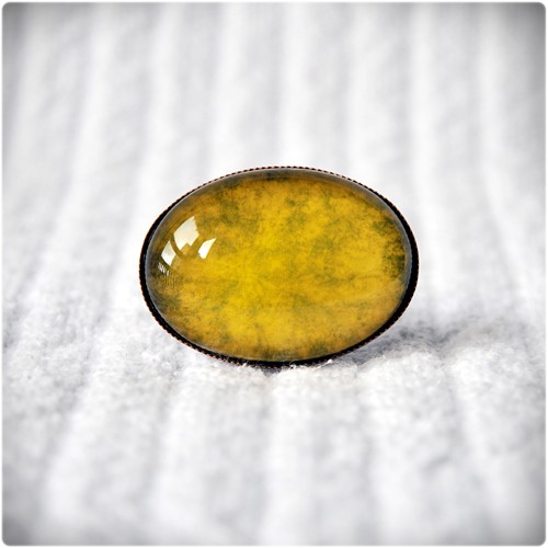 yellow kameLeonia