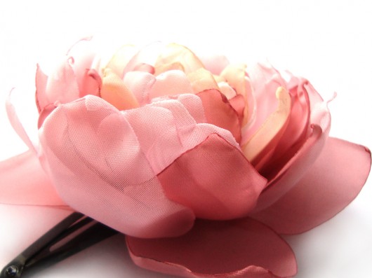 różowe róże SundayRose