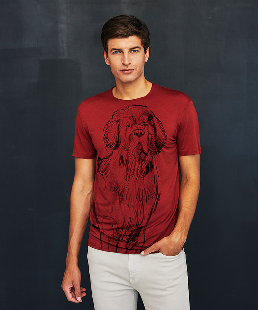 t-shirty męskie Newfoundland Dog Men's T-shirt marsala