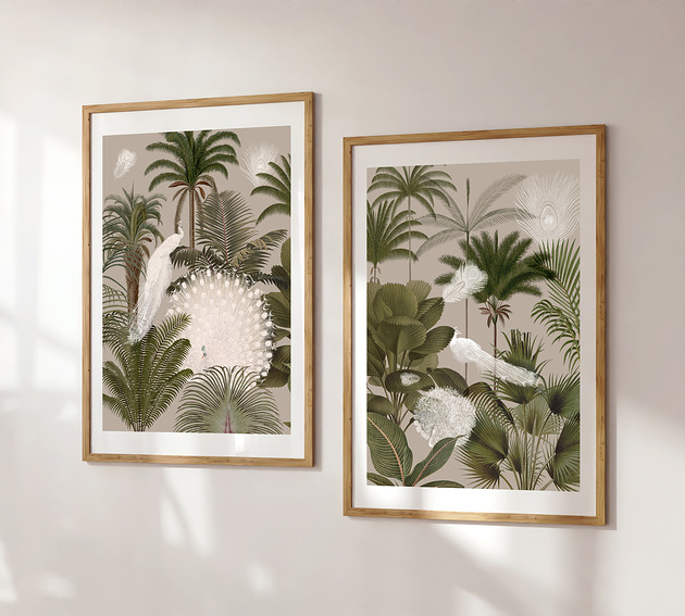 obrazy Plakat Białe pawie 50x70 cm