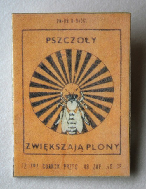pszczoły zwiększają plony k u r k a