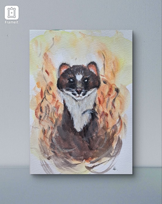 grafiki i ilustracje Zwierzęta mocy przewodnik akwarela tusz żaba orzeł łasica medytacja