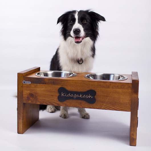 dla zwierząt różne PSI BUFET- XL - stojak dla psa, miski KOLORY!