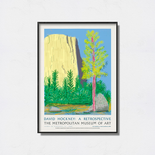 David Hockney Exhibition Poster Pas De LArt