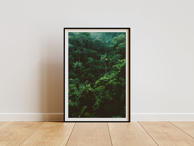 plakaty Plakat -Jungle