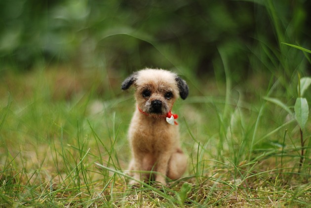 figurki i rzeźby Piesek Miniaturka-zamówienie indywidualne