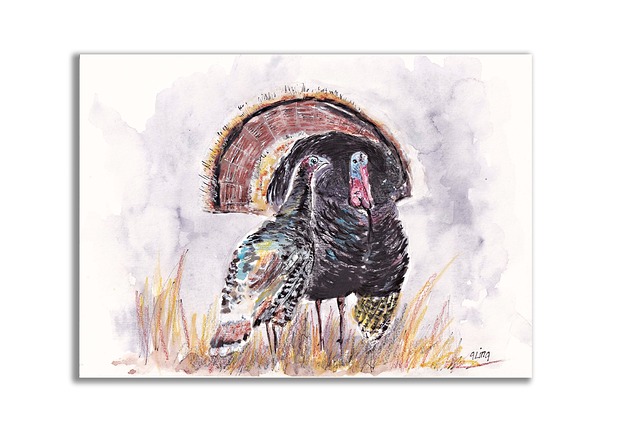 grafiki i ilustracje Indyk i indyczka. Akwarela ręcznie malowana