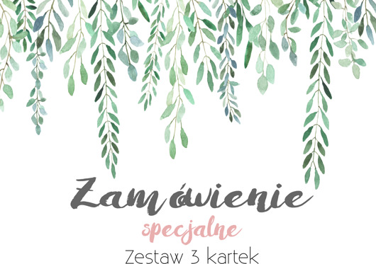 Zestaw 3 kartek z kopertami AnZone