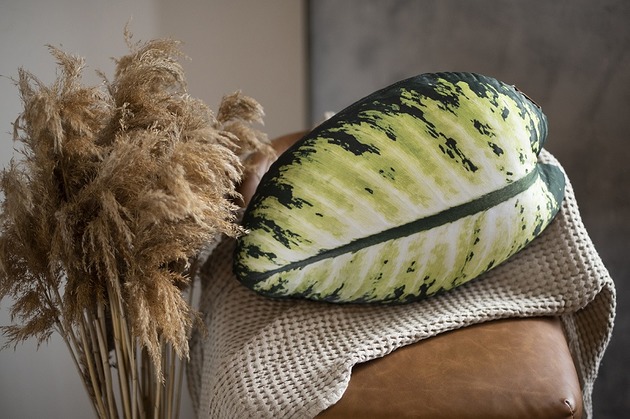 poduszki z grafiką Poduszka Monstera