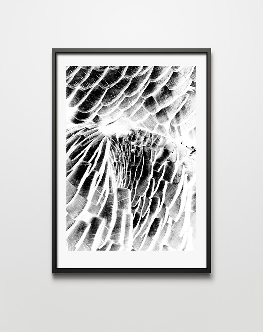 Autorska grafika BIRD PRINTLOVE