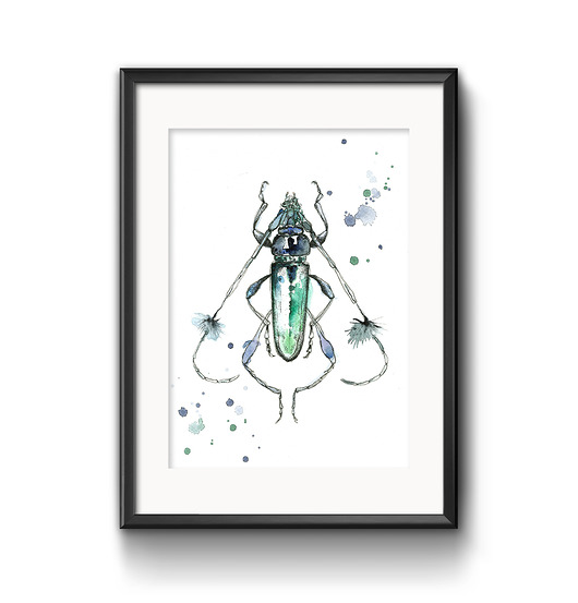 grafiki i ilustracje Cosmisoma, 30x21, A4