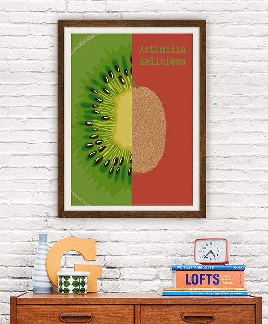 plakaty Kiwi - plakat 50x70 cm fine art, giclee