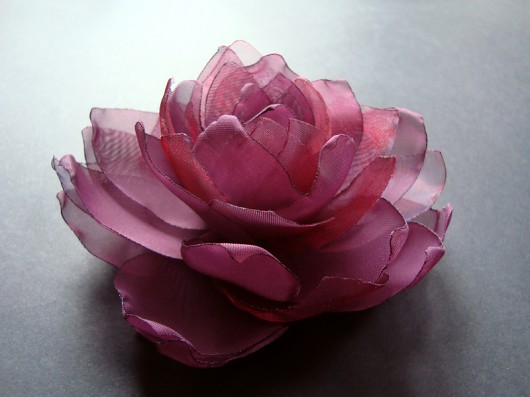 śliwka węgierka_wyprzedaż SundayRose