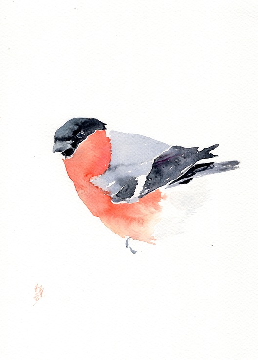 obrazy Oryginalna akwarela. Gil