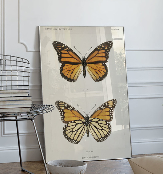 plakaty Vintage poster  50x70 cm