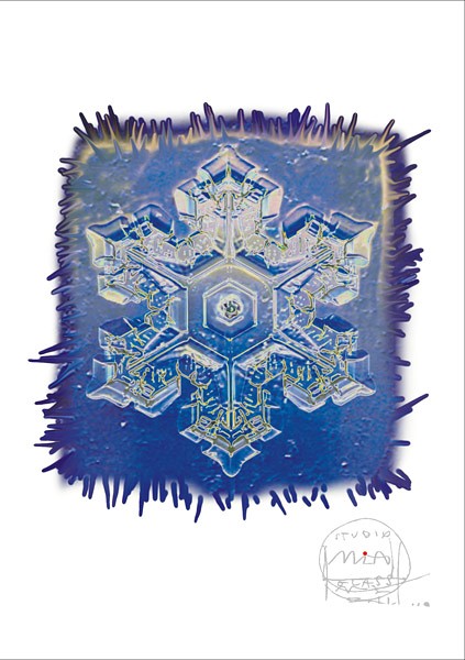 Gwiazdka Borowska Glass Design